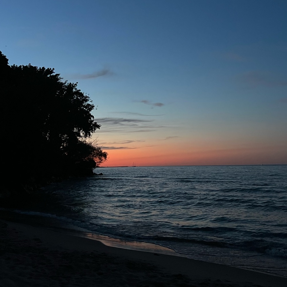 Meet your Posher, Natasha